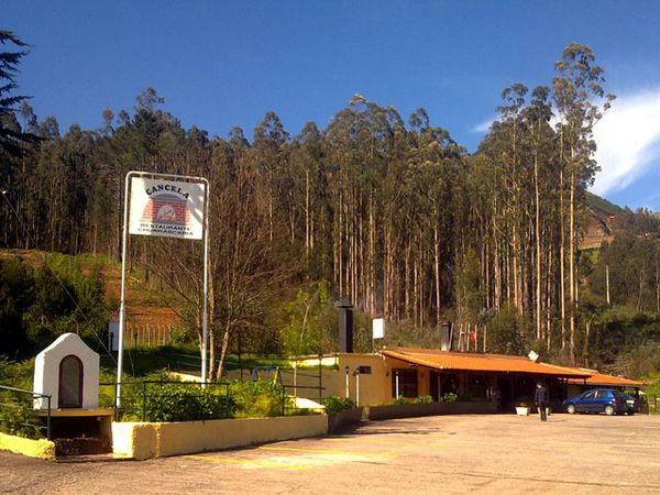 Restaurants in Ponta do Sol
