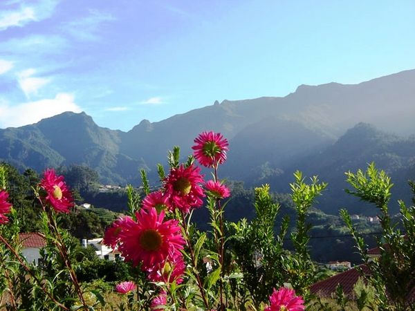 Tagestouren auf Madeira