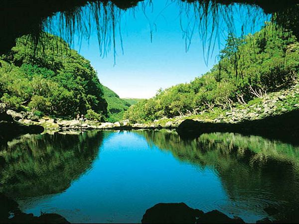 Madeira's Natur