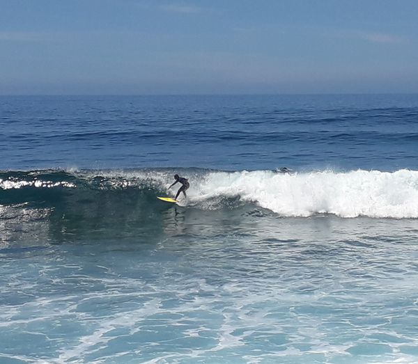 Surfen auf Madeira