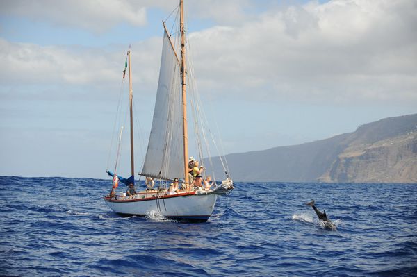 Bootstouren auf Madeira