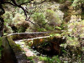 Levada 25 Fontes/Rabaçal