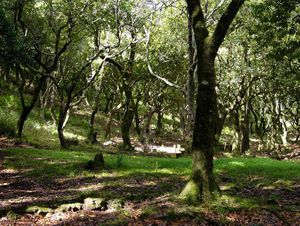 Klima in den Bergen