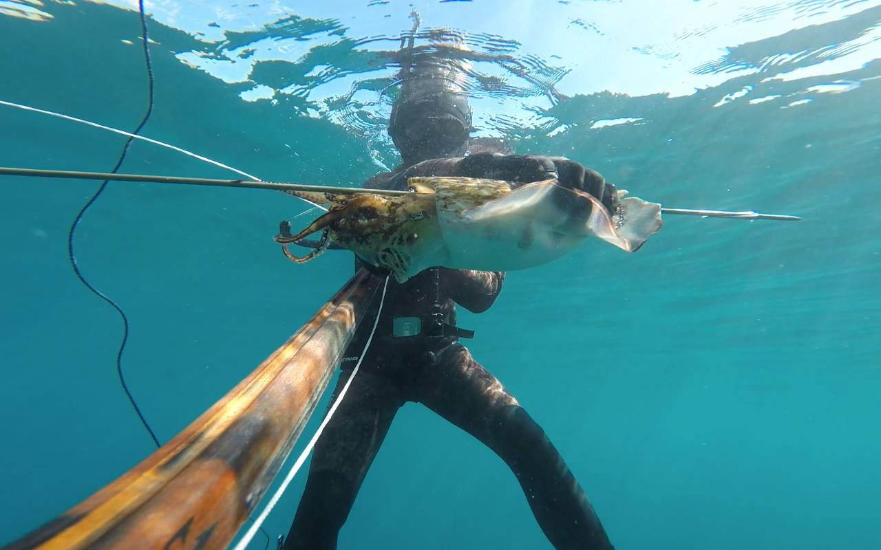 Fischen/Angeln auf Madeira