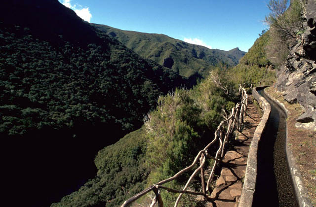 Αποτέλεσμα εικόνας για LEVADAS OF MADEIRA