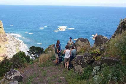 Madeiras Nordostküste